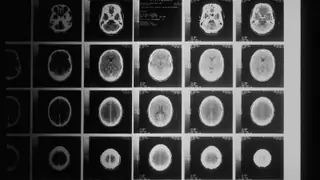 Medical research environment